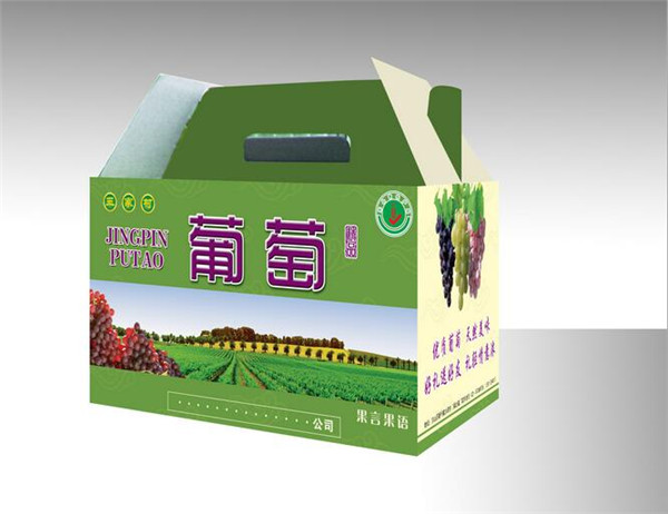 西安(ān)水果包裝紙箱案例