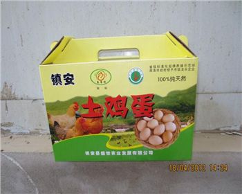 鎮安土雞店(diàn)彩印(yìn)包裝(zhuāng)紙箱(xiāng)