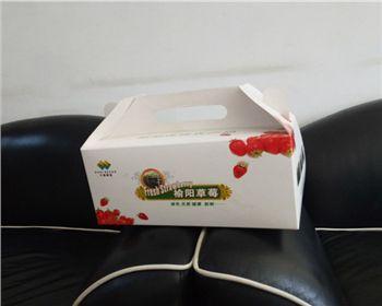 草(cǎo)莓禮盒紙(zhǐ)箱
