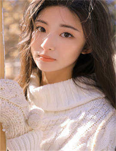 王的女人电视剧全集
